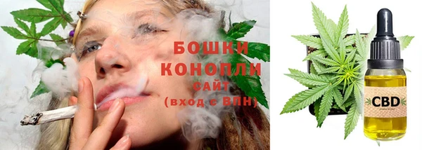 СК Кукмор