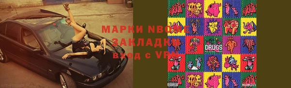 сатива Куйбышев