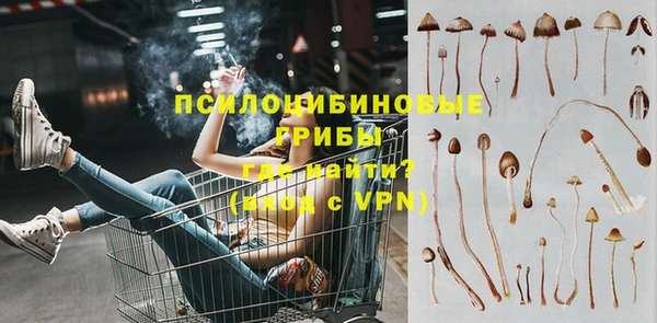СК Краснослободск