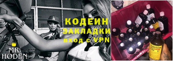 сатива Куйбышев