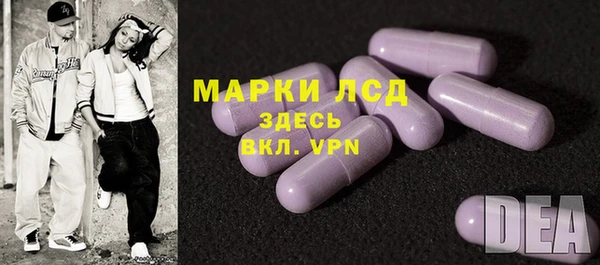 СК Кукмор